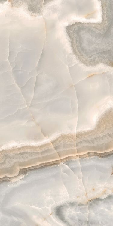 Reves Noisette Matte 24 x 48